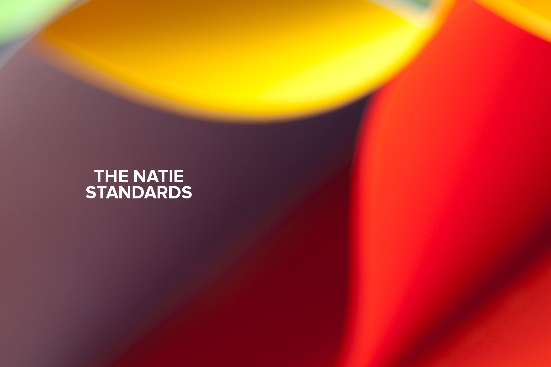 The Natie Standards - Natie Branding Agency